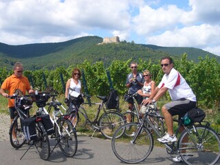 Radtour zum Hambacher Schloss