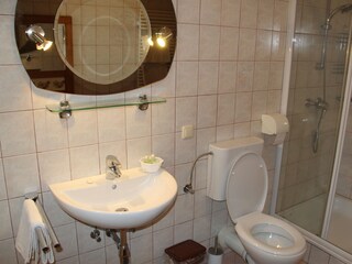 Appartamento per vacanze Nußdorf am Attersee Caratteristiche 15