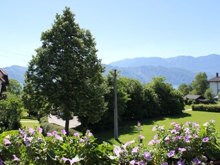 Appartamento per vacanze Nußdorf am Attersee Registrazione all'aperto 3