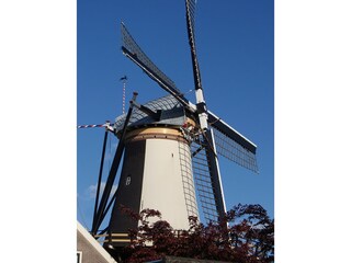 Vakantieappartement Zoeterwoude  17