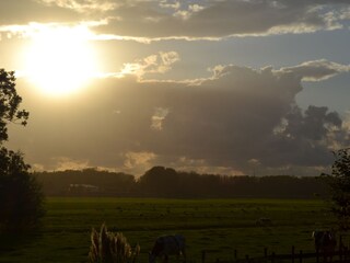 Vakantieappartement Zoeterwoude Omgeving 6