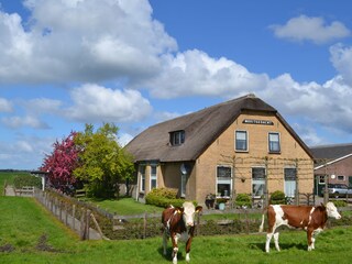 Vakantieappartement Zoeterwoude Buitenaudio-opname 2