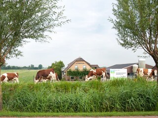 Vakantieappartement Zoeterwoude Omgeving 9