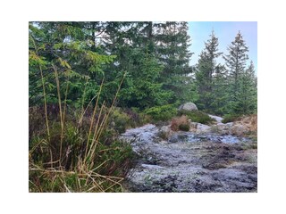 Casa de vacaciones Schierke Entorno 20