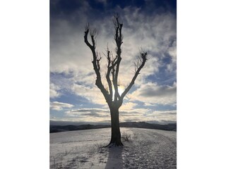 Casa de vacaciones Schierke Entorno 25