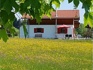 Idyllische und freie Randlage im Feriendorf Via Claudia