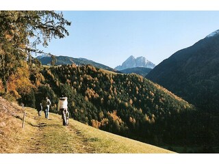 Appartamento per vacanze Lüsen Ambiente 15