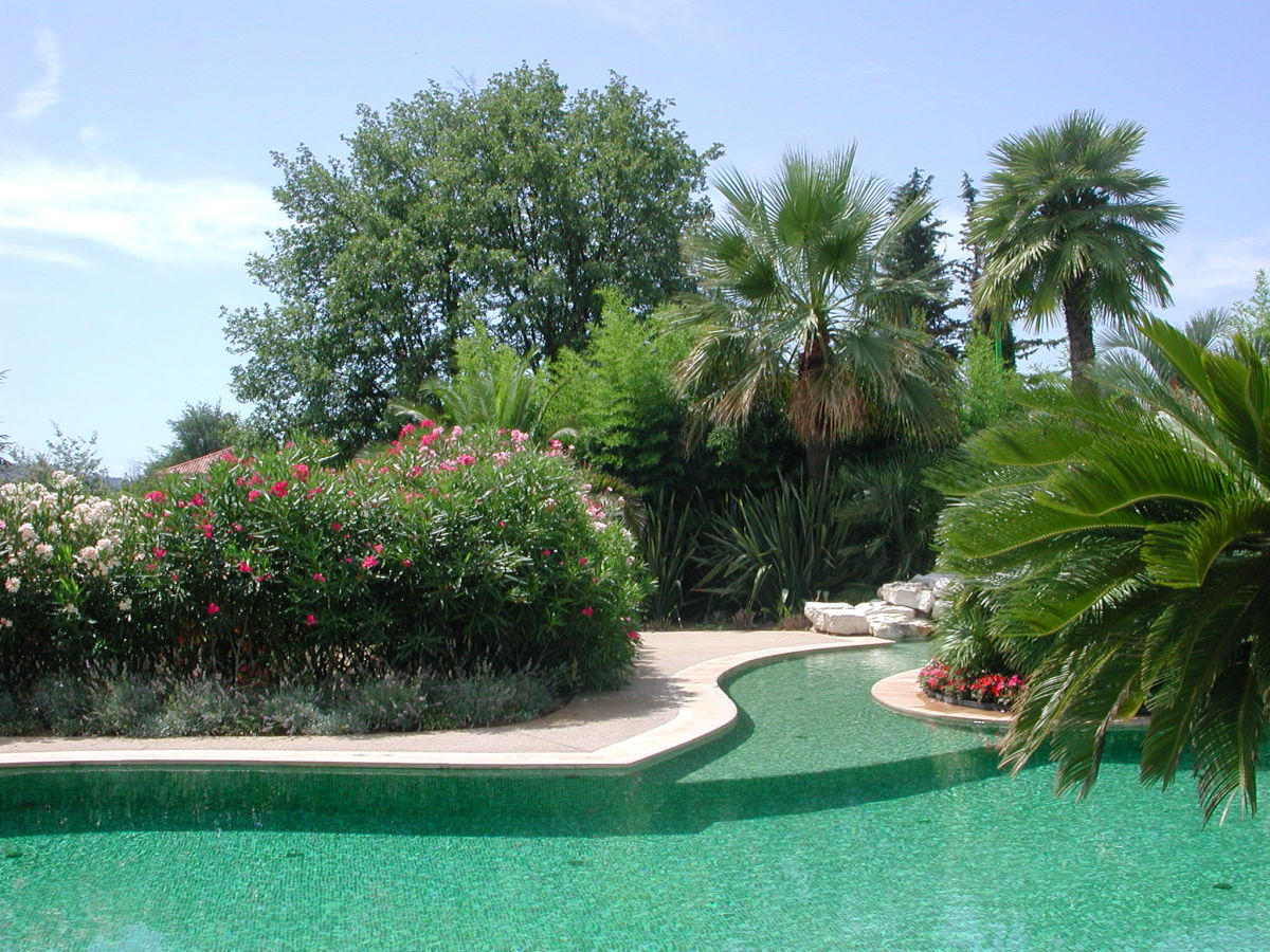 stunning laguna pool