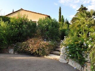 Villa Carros Grabación al aire libre 7