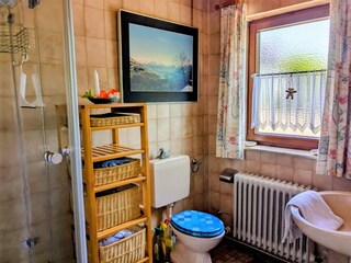 Ground floor bathroom with shower, WC and wash-basin