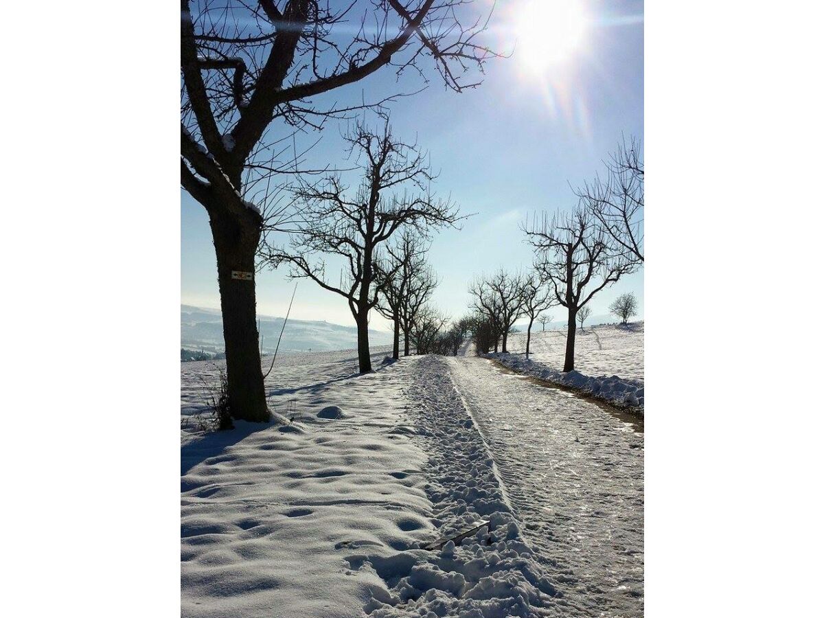 kleiner Rundweg zum Spazieren