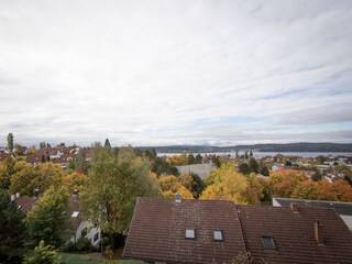 View from the living room