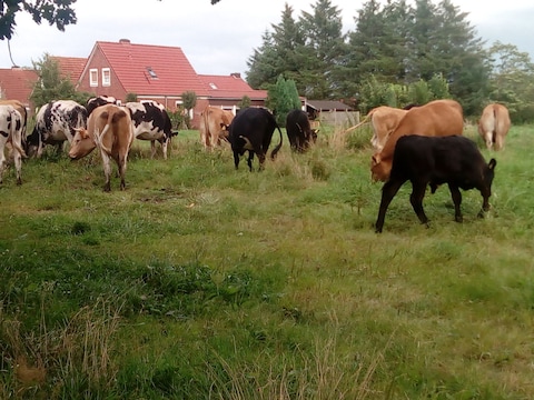 Bauernhof Münkenland