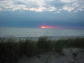 Holiday apartment Bergen aan Zee Environment 12