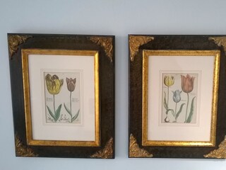 Appartamento per vacanze Bergen aan Zee Caratteristiche 11