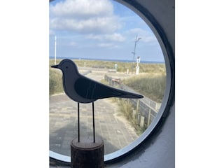 Holiday apartment Bergen aan Zee Outdoor Recording 4