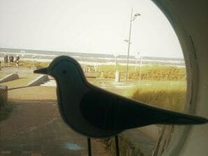 Holiday apartment Zeeduintje