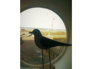 Appartamento per vacanze Bergen aan Zee Registrazione all'aperto 1