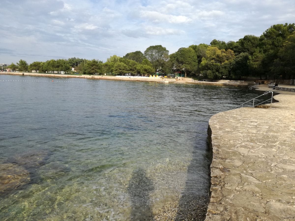 Strand mit dem grunen Hintergrund Park un Wald