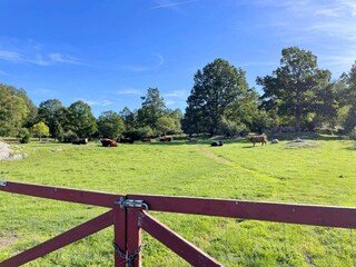 Apartment Brottby  7