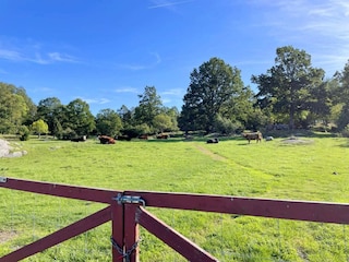 Appartamento Brottby  7