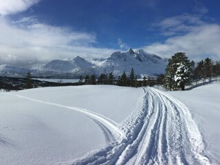 Vakantiehuis Sørrollnes  23