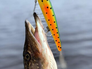 Ferienhaus Gönäs Außenaufnahme 7