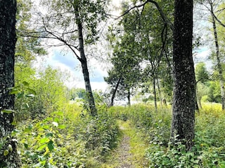 Vakantiehuis Ulricehamn  26