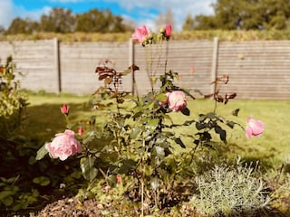 Vakantiehuis Ulricehamn Buitenaudio-opname 3