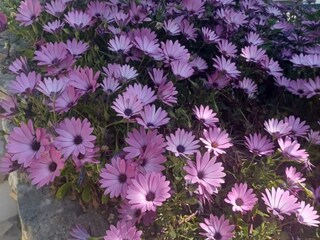 Appartement Okrug Gornji Enregistrement extérieur 6