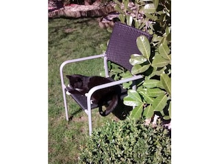 Lieblingsplatz unserer Katze