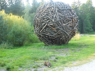 Holzkugel am Waldmuseum