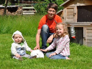 Appartamento Mellau Ambiente 19