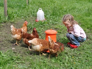 Appartamento Mellau Ambiente 20