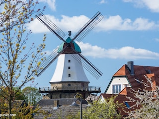 Mühle Amanda