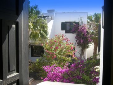 Ferienwohnung Tropican in der Wohlfühl-Oase Tropical