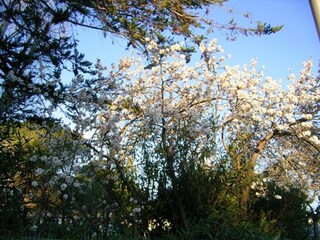 Holiday house Narbonne-Plage Environment 25