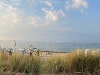 Standgras - Ostseeblick