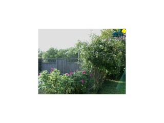 Maison de vacances Borkum  14