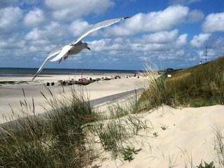 Ferienwohnung Borkum Umgebung 8