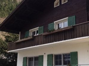 Holiday apartment apartment85a - St. Gallenkirch - image1