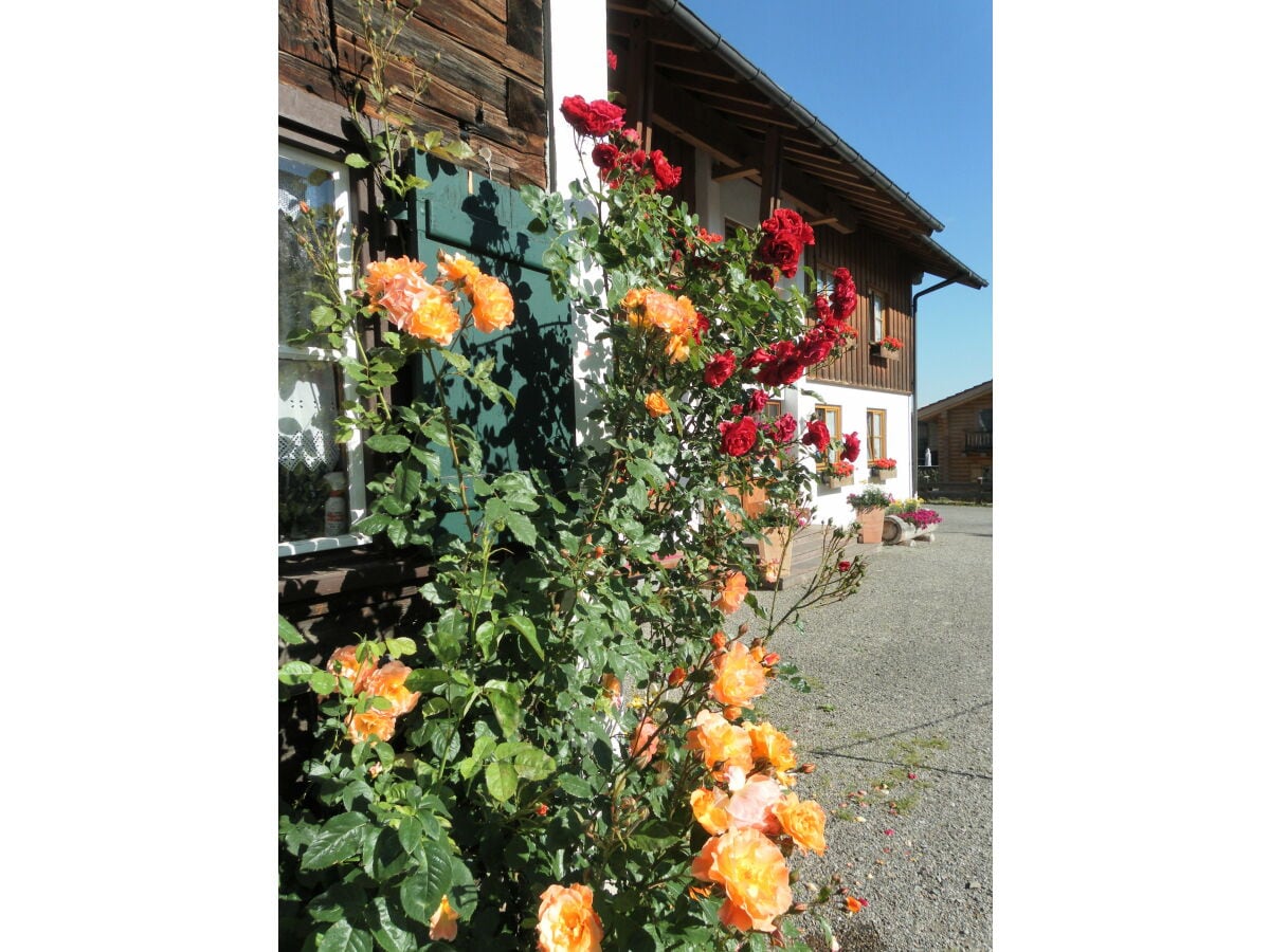 Ferienwohnung Oberstdorf Außenaufnahme 1