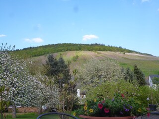 Apartamento de vacaciones Lieser Entorno 3