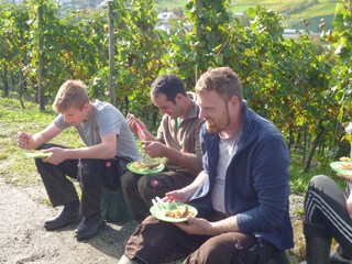 Appartement de vacances Lieser Environnement 18