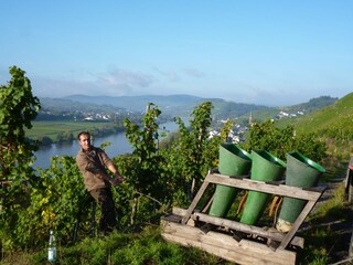 Appartamento per vacanze Lieser Ambiente 17