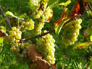 Appartamento per vacanze Lieser Registrazione all'aperto 3