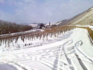 Vakantieappartement Lieser Omgeving 22