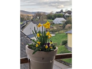 Ausblick von der Loggia