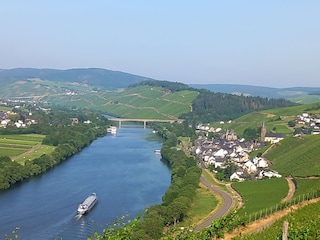 Bild auf Lieser aus dem Weinberg "Kraus Held"