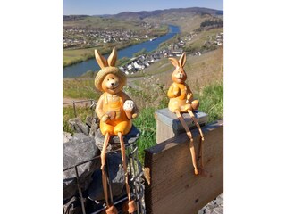 Holiday apartment Lieser Environment 28